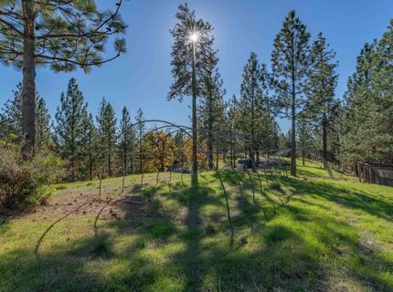 271 Sierra Madre Rd, Rail Road Flat, CA 95248 Photo