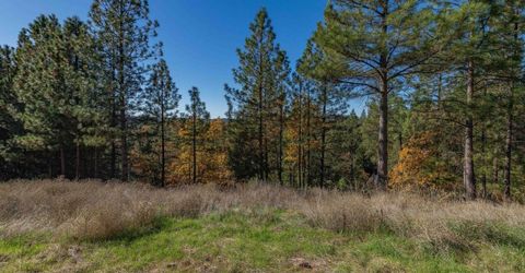 271 Sierra Madre Rd, Rail Road Flat, CA 95248 Photo