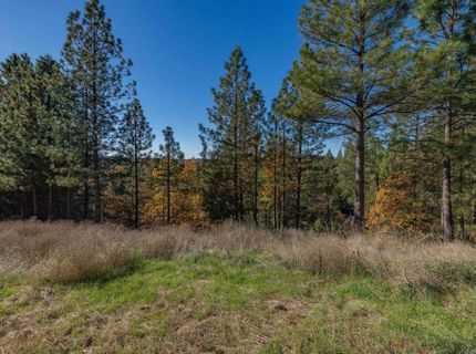 271 Sierra Madre Rd, Rail Road Flat, CA 95248 Photo