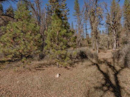 3035 Wharregard Rd, Rail Road Flat, CA 95248 Photo
