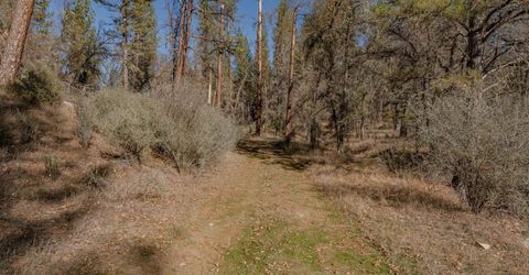3035 Wharregard Rd, Rail Road Flat, CA 95248 Photo
