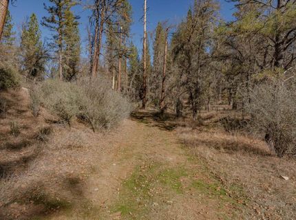 3035 Wharregard Rd, Rail Road Flat, CA 95248 Photo