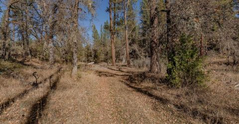 3035 Wharregard Rd, Rail Road Flat, CA 95248 Photo