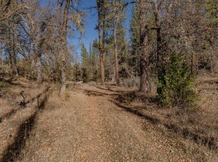 3035 Wharregard Rd, Rail Road Flat, CA 95248 Photo