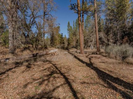 3035 Wharregard Rd, Rail Road Flat, CA 95248 Photo