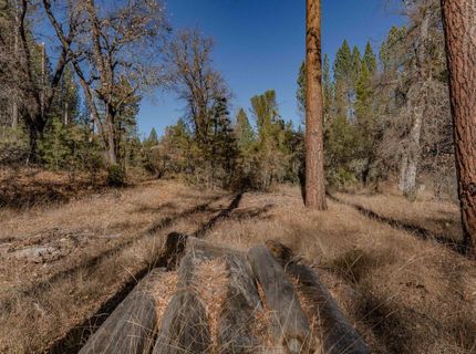 3035 Wharregard Rd, Rail Road Flat, CA 95248 Photo