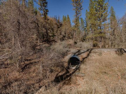 3035 Wharregard Rd, Rail Road Flat, CA 95248 Photo