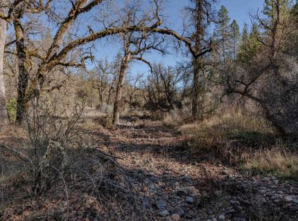 3035 Wharregard Rd, Rail Road Flat, CA 95248 Photo