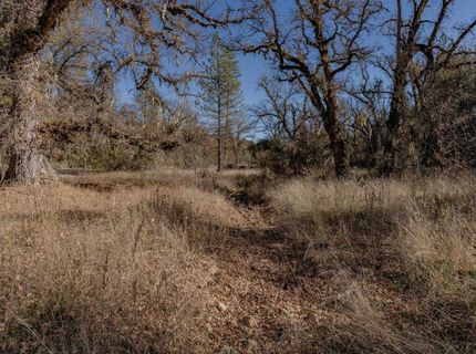 3035 Wharregard Rd, Rail Road Flat, CA 95248 Photo
