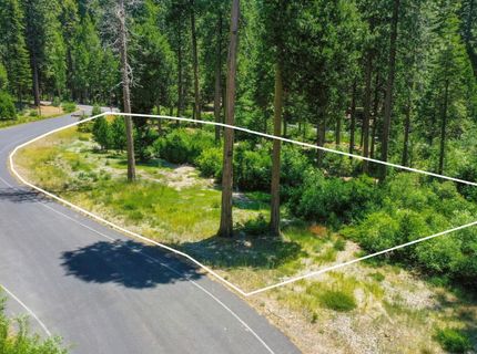 11 Timber Trail Ct, Camp Connell, CA 95223 Photo