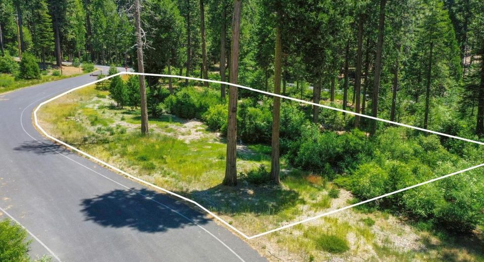 11 Timber Trail Ct, Camp Connell, CA 95223 Photo