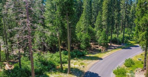 11 Timber Trail Ct, Camp Connell, CA 95223 Photo