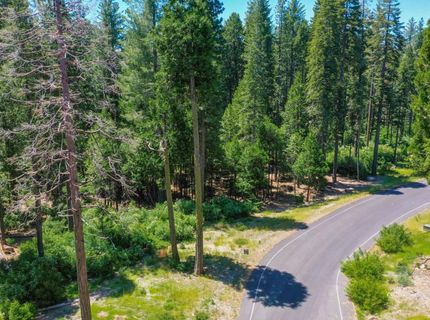 11 Timber Trail Ct, Camp Connell, CA 95223 Photo