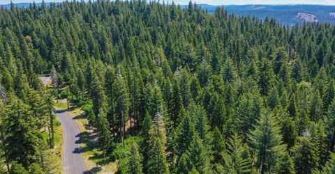 11 Timber Trail Ct, Camp Connell, CA 95223 Photo