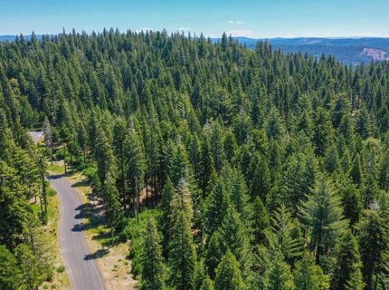 11 Timber Trail Ct, Camp Connell, CA 95223 Photo