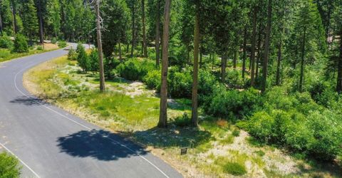 11 Timber Trail Ct, Camp Connell, CA 95223 Photo