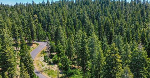 11 Timber Trail Ct, Camp Connell, CA 95223 Photo
