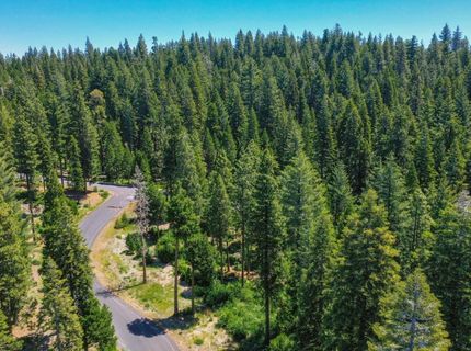 11 Timber Trail Ct, Camp Connell, CA 95223 Photo