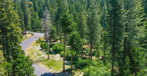 11 Timber Trail Ct, Camp Connell, CA 95223 Photo