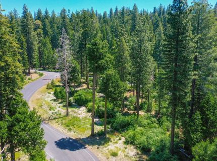 11 Timber Trail Ct, Camp Connell, CA 95223 Photo