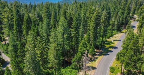11 Timber Trail Ct, Camp Connell, CA 95223 Photo