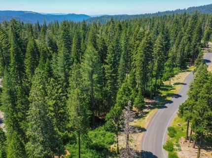 11 Timber Trail Ct, Camp Connell, CA 95223 Photo