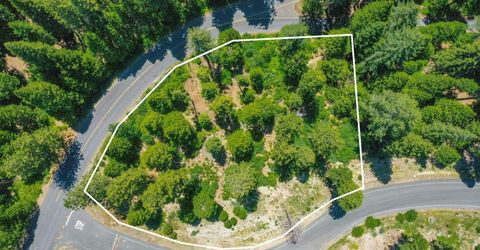 11 Timber Trail Ct, Camp Connell, CA 95223 Photo