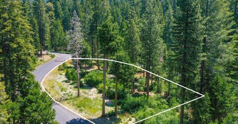 11 Timber Trail Ct, Camp Connell, CA 95223 Photo