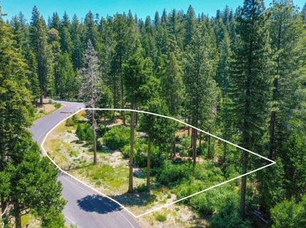 11 Timber Trail Ct, Camp Connell, CA 95223 Photo