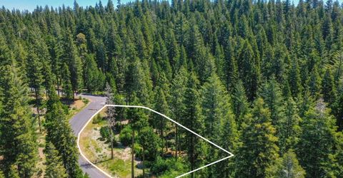 11 Timber Trail Ct, Camp Connell, CA 95223 Photo