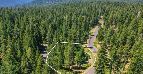 11 Timber Trail Ct, Camp Connell, CA 95223 Photo