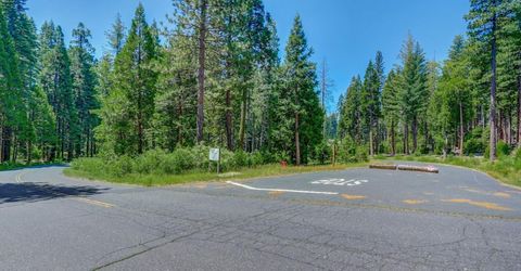 11 Timber Trail Ct, Camp Connell, CA 95223 Photo