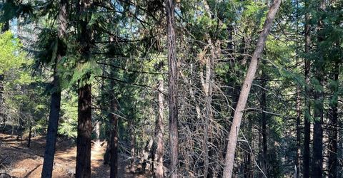 369 Canyon View Dr, Hathaway Pines, CA 95233 Photo