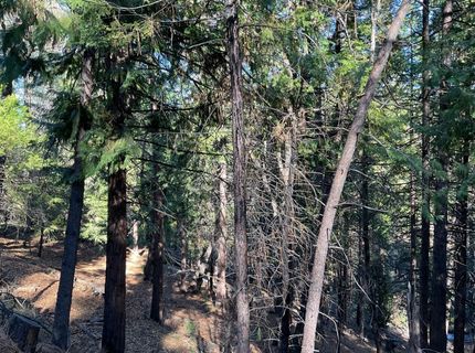369 Canyon View Dr, Hathaway Pines, CA 95233 Photo