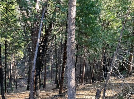 369 Canyon View Dr, Hathaway Pines, CA 95233 Photo