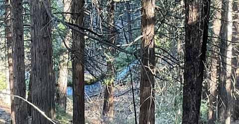 369 Canyon View Dr, Hathaway Pines, CA 95233 Photo