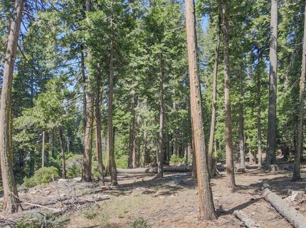 403 Sierra Parkway, Camp Connell, CA 95223 Photo