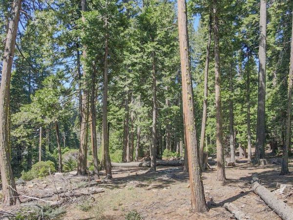 403 Sierra Parkway, Camp Connell, CA 95223