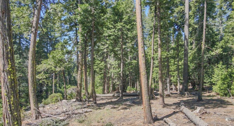 403 Sierra Parkway, Camp Connell, CA 95223 Photo