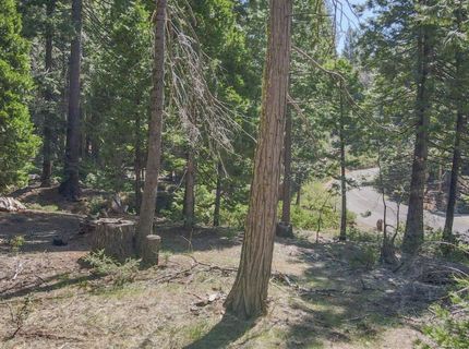 403 Sierra Parkway, Camp Connell, CA 95223 Photo