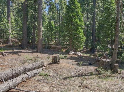 403 Sierra Parkway, Camp Connell, CA 95223 Photo