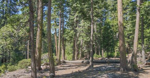 403 Sierra Parkway, Camp Connell, CA 95223 Photo