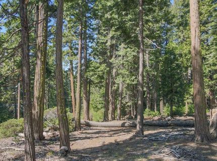 403 Sierra Parkway, Camp Connell, CA 95223 Photo