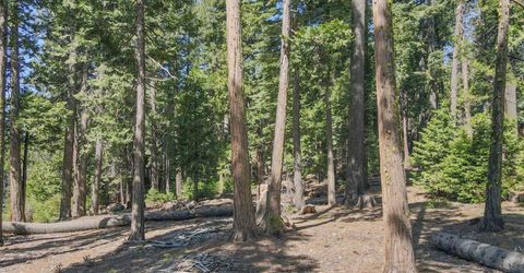 403 Sierra Parkway, Camp Connell, CA 95223 Photo