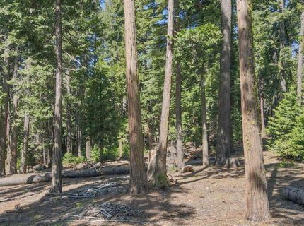 403 Sierra Parkway, Camp Connell, CA 95223 Photo