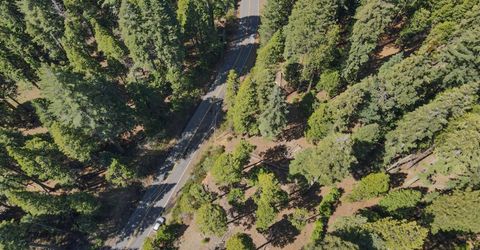 403 Sierra Parkway, Camp Connell, CA 95223 Photo