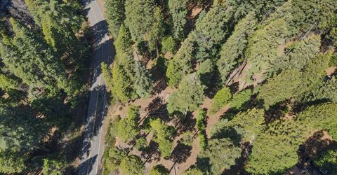 403 Sierra Parkway, Camp Connell, CA 95223 Photo