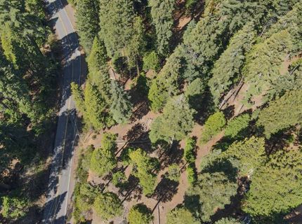 403 Sierra Parkway, Camp Connell, CA 95223 Photo