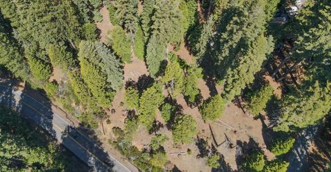 403 Sierra Parkway, Camp Connell, CA 95223 Photo
