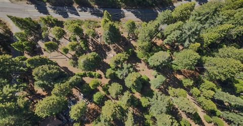 403 Sierra Parkway, Camp Connell, CA 95223 Photo